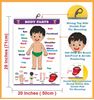 Click to zoom Body parts Chart - Early Learning Educational Chart	