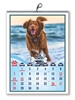 Click to zoom Dog Calendar 2024