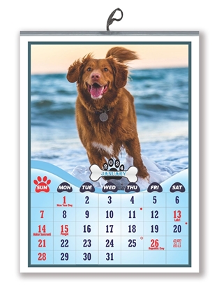 Dog Calendar 2024