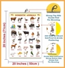 Click to zoom Domestic Chart Exp - Early Learning Educational Chart