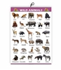 Click to zoom Wild Animals - Early Learning Educational Chart