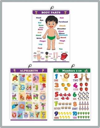 CH3001 Body Parts + Alphabets + Numbers Learning Charts