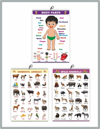 CH3002 Body Parts +Domestic + Wild Animals Learning Charts