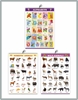 Click to zoom CH3003 Numbers+Domestic + Wild Animals Learning Charts