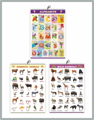 CH3003 Numbers+Domestic + Wild Animals Learning Charts