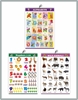 Click to zoom CH3004 Numbers+ Alphabets+ Wild Animals Learning Charts