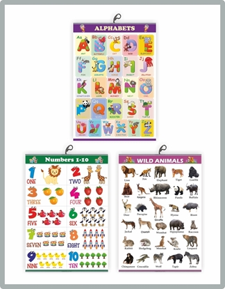 CH3004 Numbers+ Alphabets+ Wild Animals Learning Charts