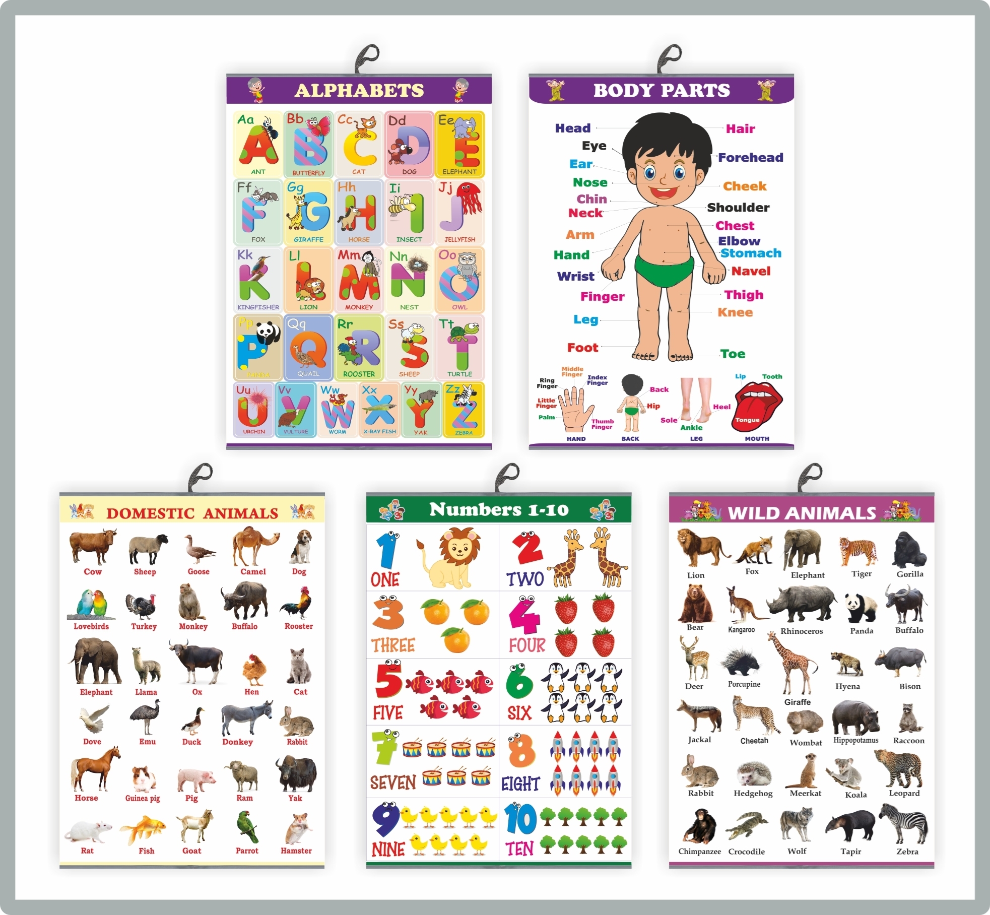 CH5001 Early Learning Chart set of 5