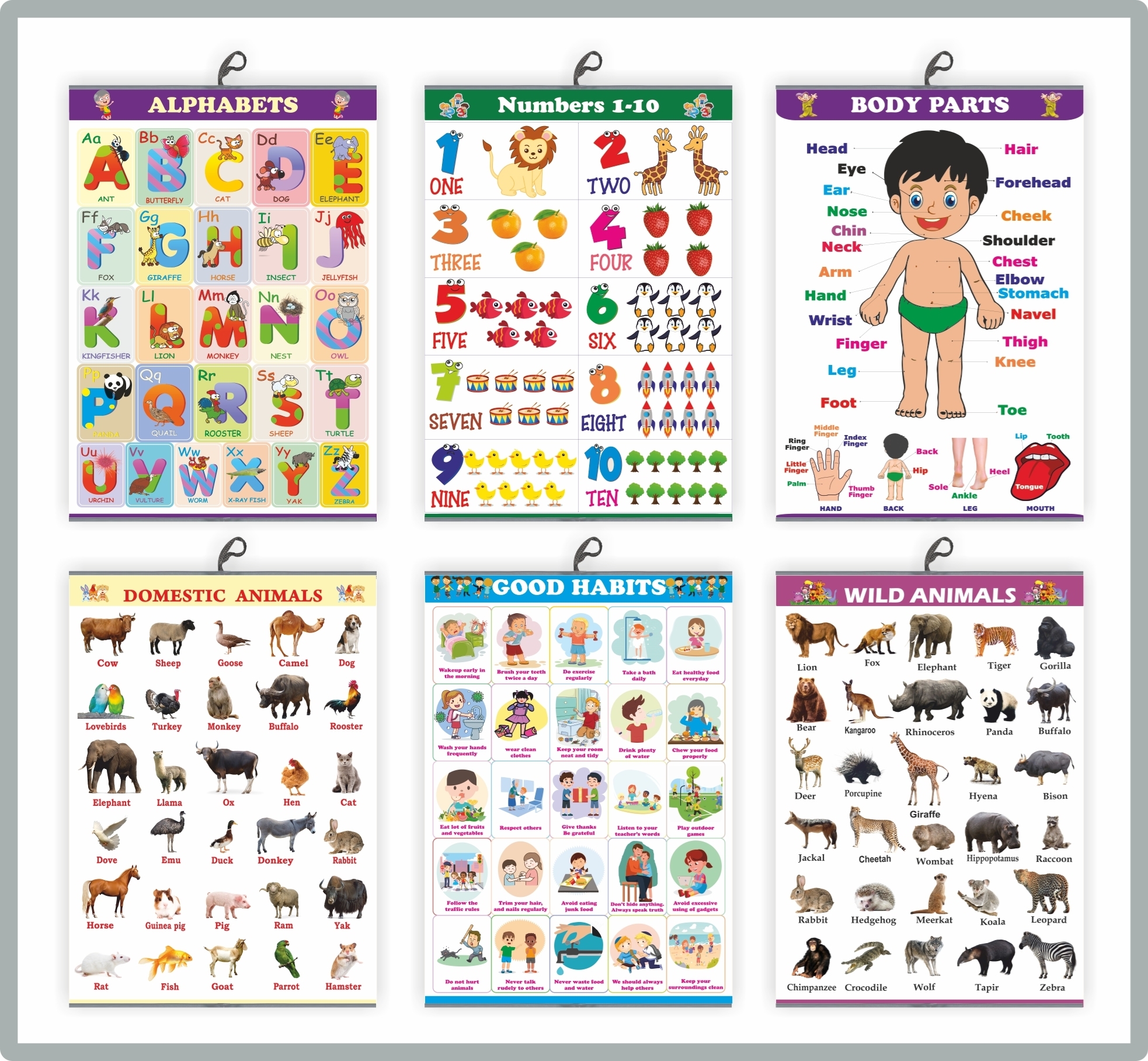 CH6001 Early Learning Chart Set of 6