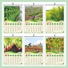 Click to zoom 761-Agriculture Monthly Calendar 2025