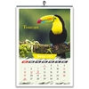 Click to zoom J885- Birds English Calendar 2025