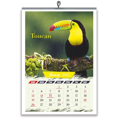 J885- Birds English Calendar 2025