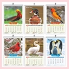 Click to zoom J885- Birds English Calendar 2025