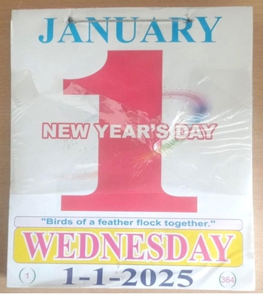 Daily Slip Calendar English 2025